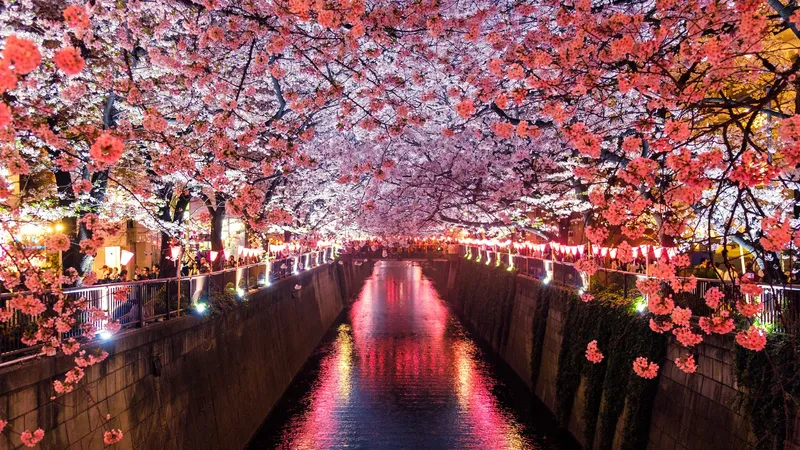 Business into Japan