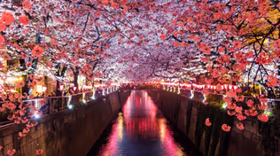 Business into Japan